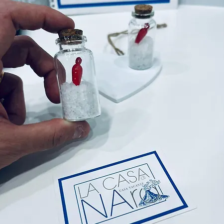 公寓 La Casa Di Nara 那不勒斯